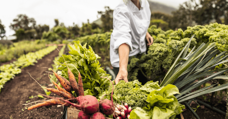 The Encore: Scaling Smart Without Burning Out