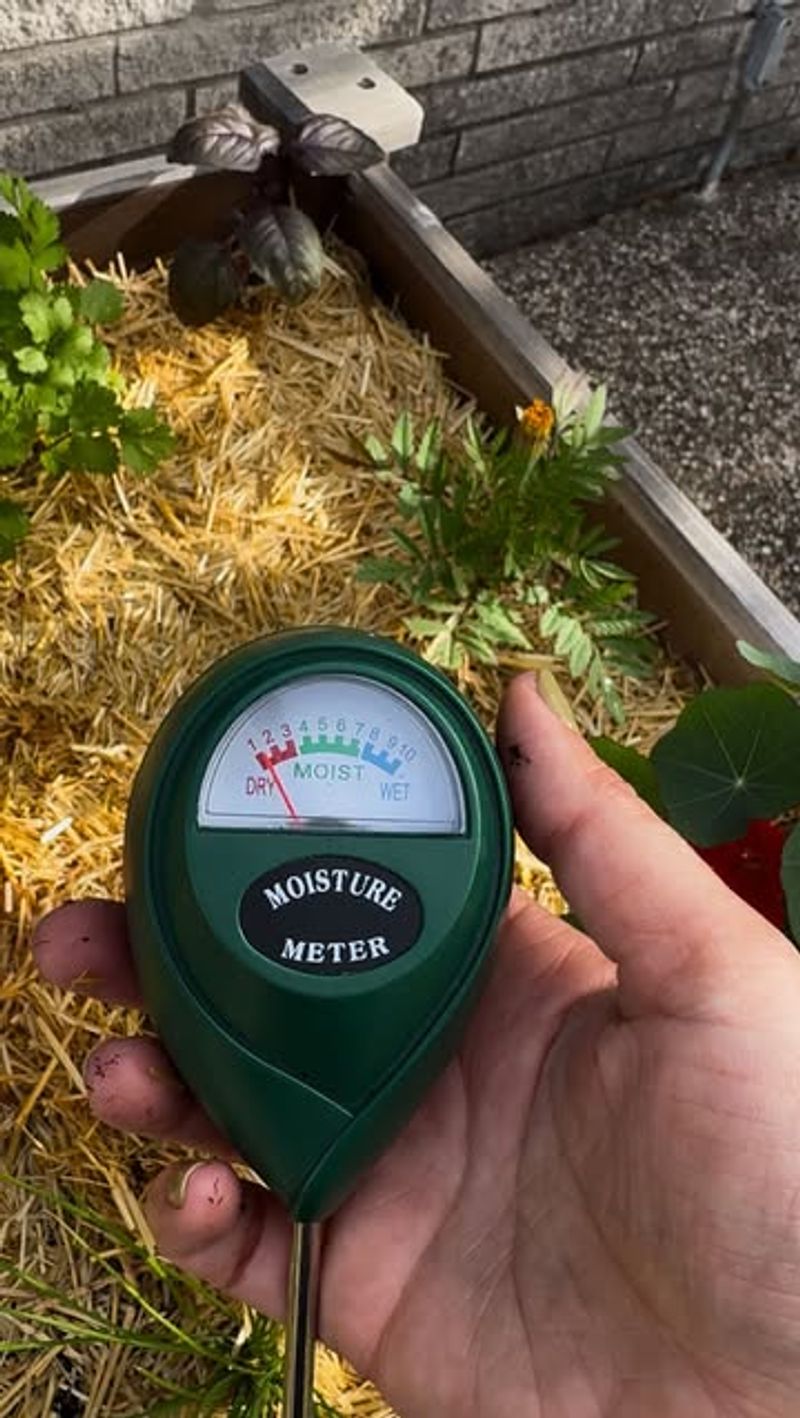 Check soil before watering