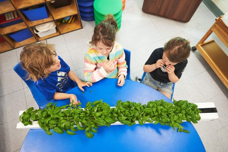 Educational Opportunity