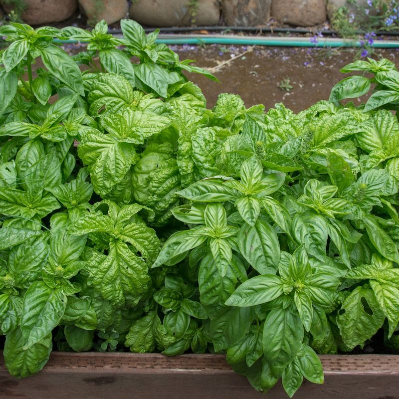 Community Conversation Starter