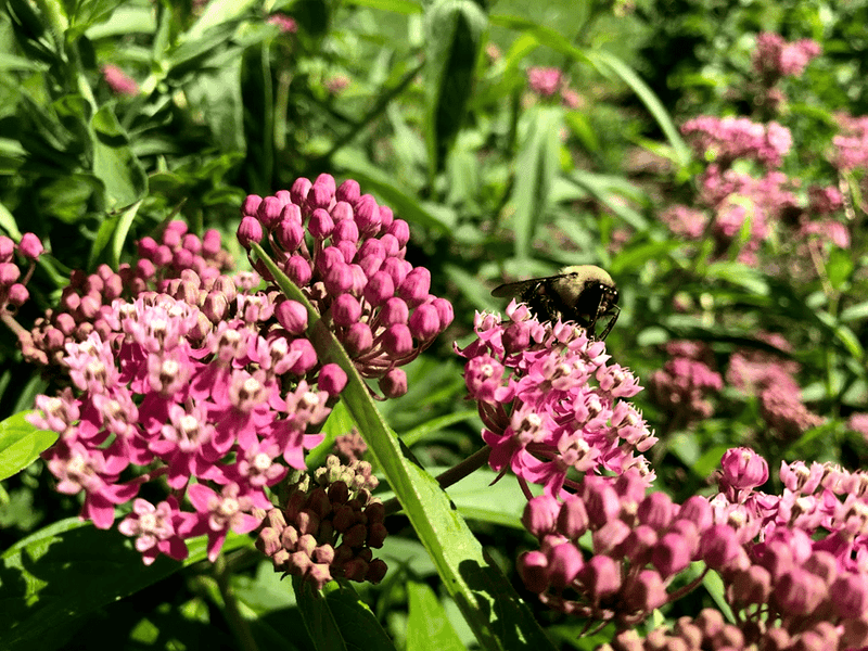 Air Quality Improvement