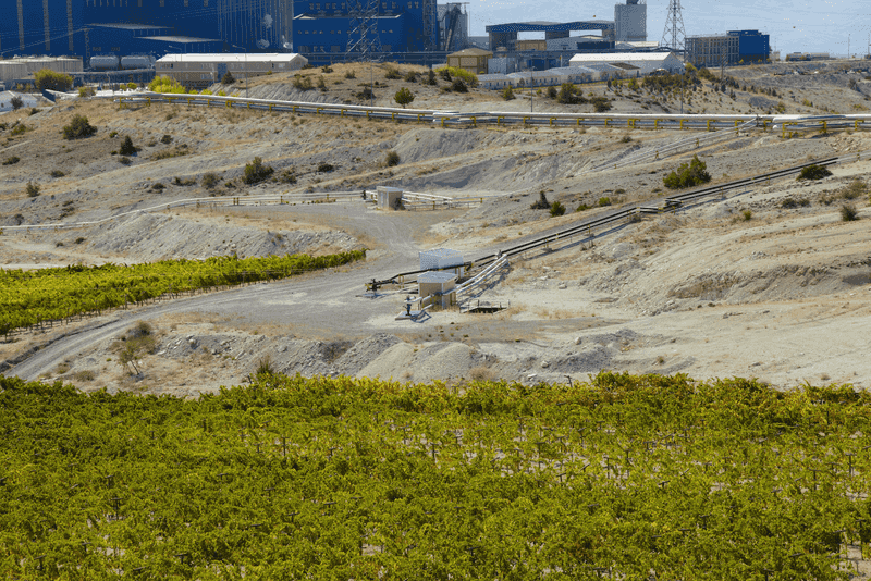 The Egyptian Soda Oasis