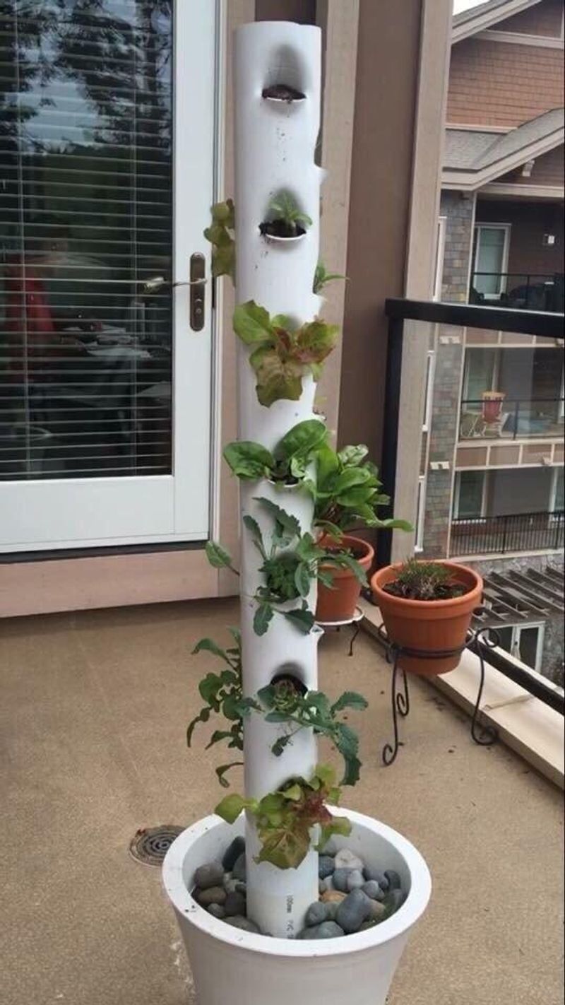 DIY PVC Pipe Garden
