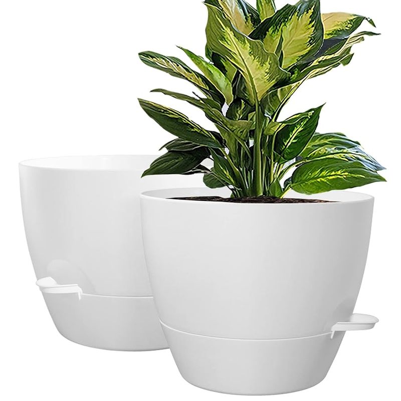 Self-Watering Planters