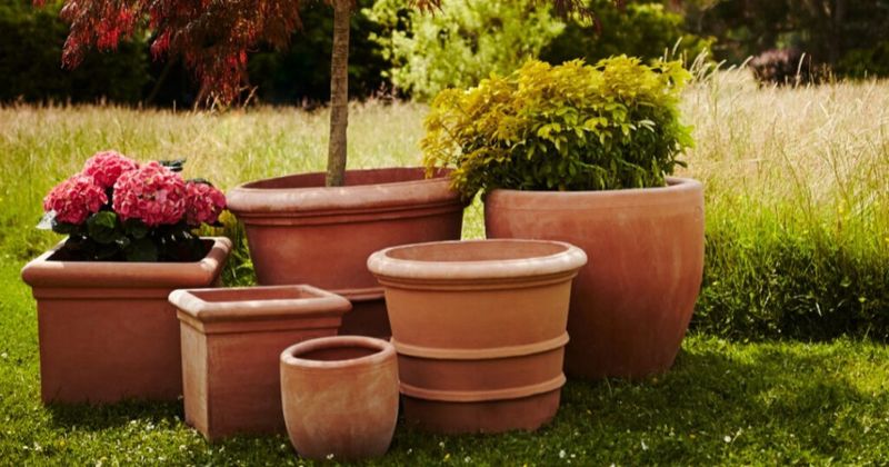 Symbol of Earth and Nature