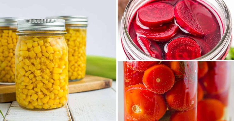 The 15 Best Veggies For Home-Canning
