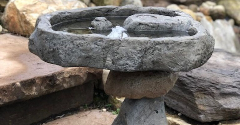 The 15 Bird Baths That Are Quietly Taking Over Backyards in 2025