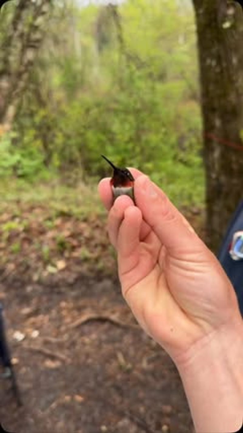 They Weigh Less Than 0.003 Ounces