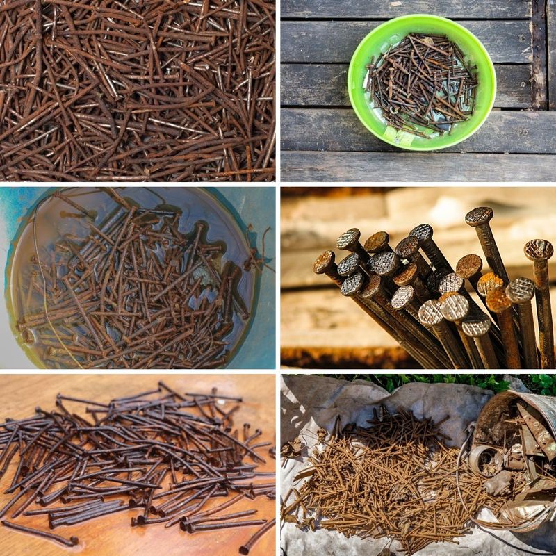 Bury a Rusty Nail (For Yellow Leaves)