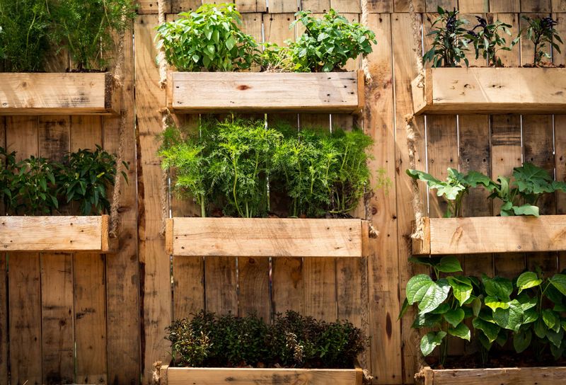 Vertical Vegetable Gardens