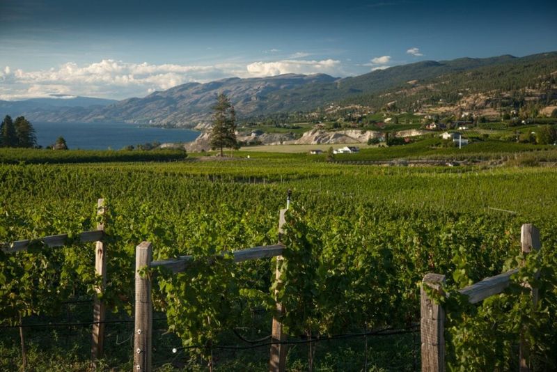 The Canadian Shield Factory