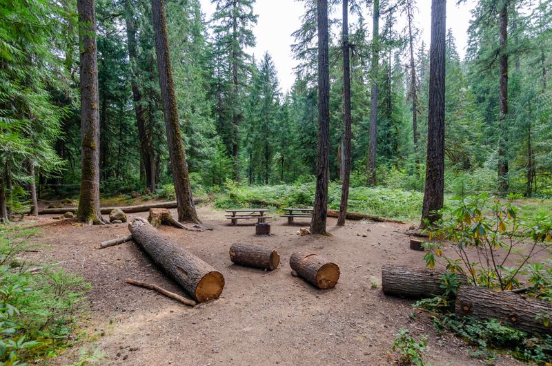 Whispering Pines Grove