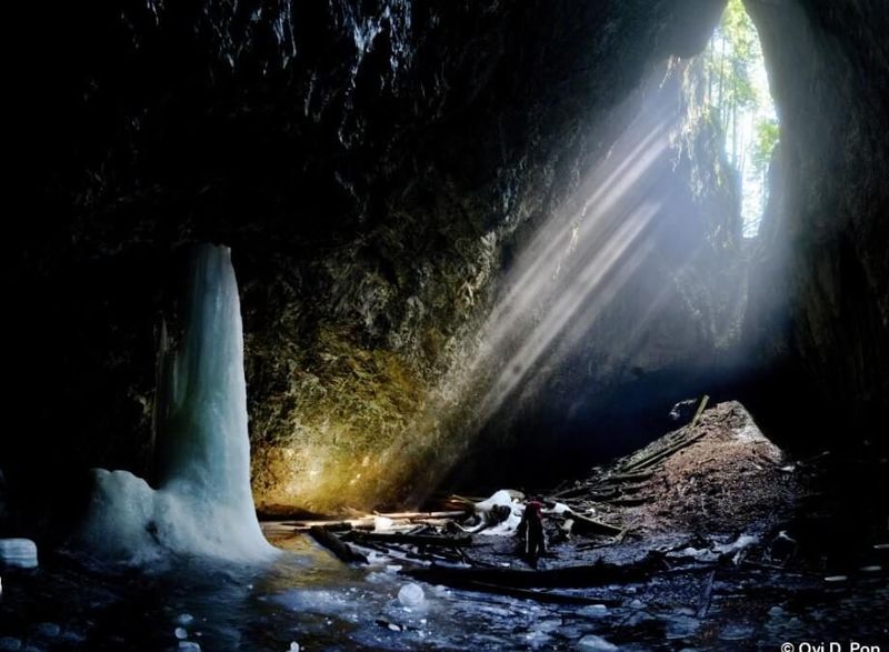 The Forest of the Deep in Romania