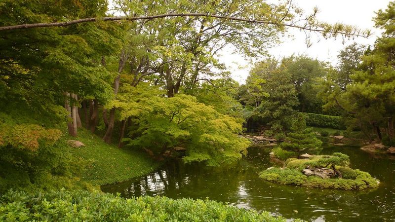 Dallas's Urban Jungle