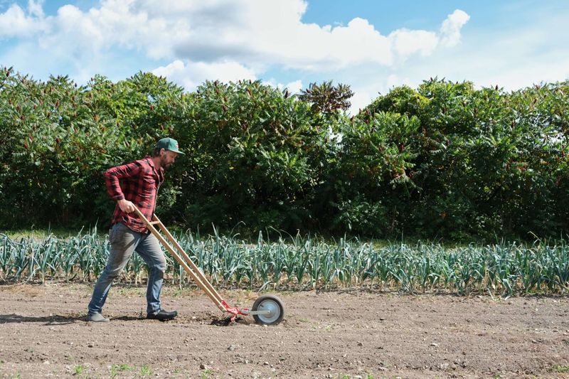 The Takeaway: It’s More Doable Than You Think