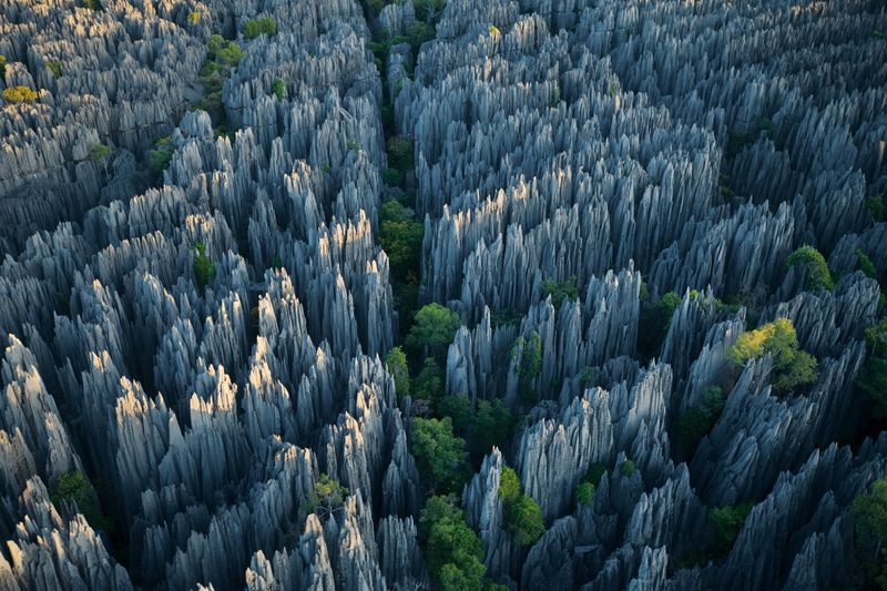 The Cavern Forests of Madagascar