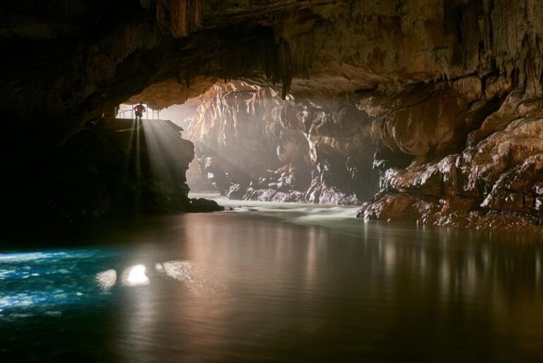 15 Secret Underground Forests That Science Can’t Fully Explain ...