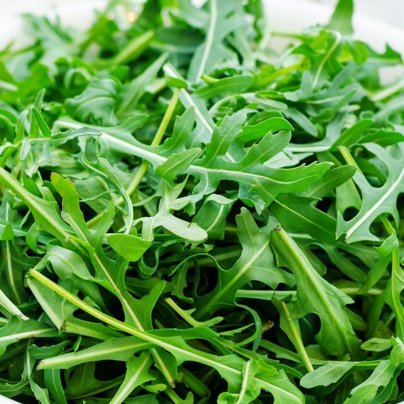 Arugula