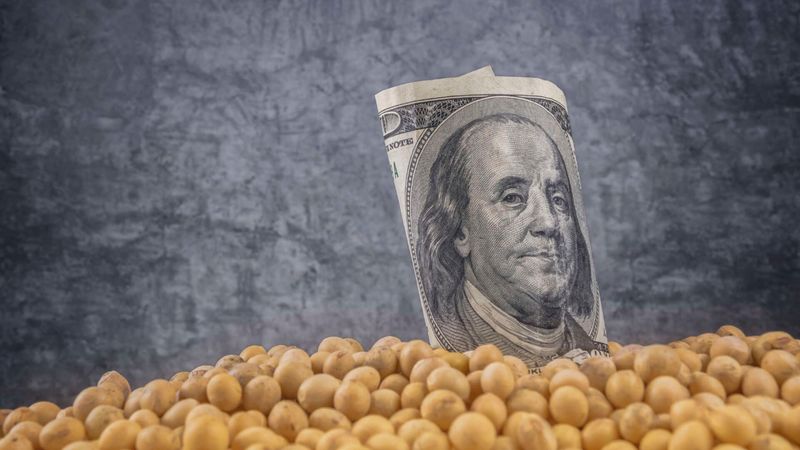 Ethical Considerations Surrounding GMOs