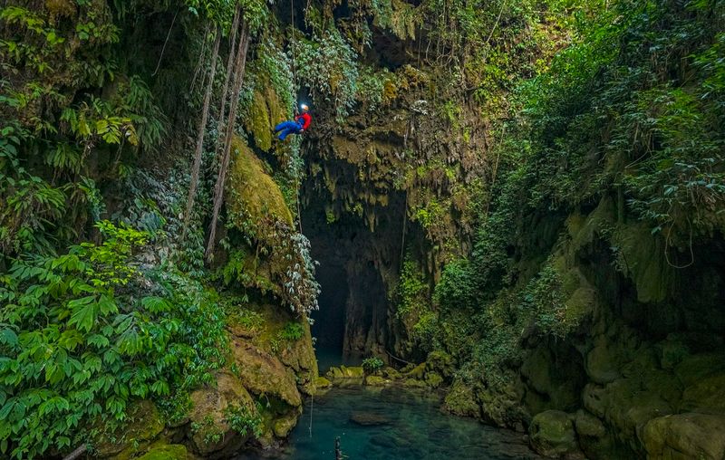 The Underground Forest of Meghalaya