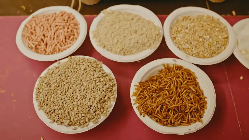 Secret of Seasonal Food