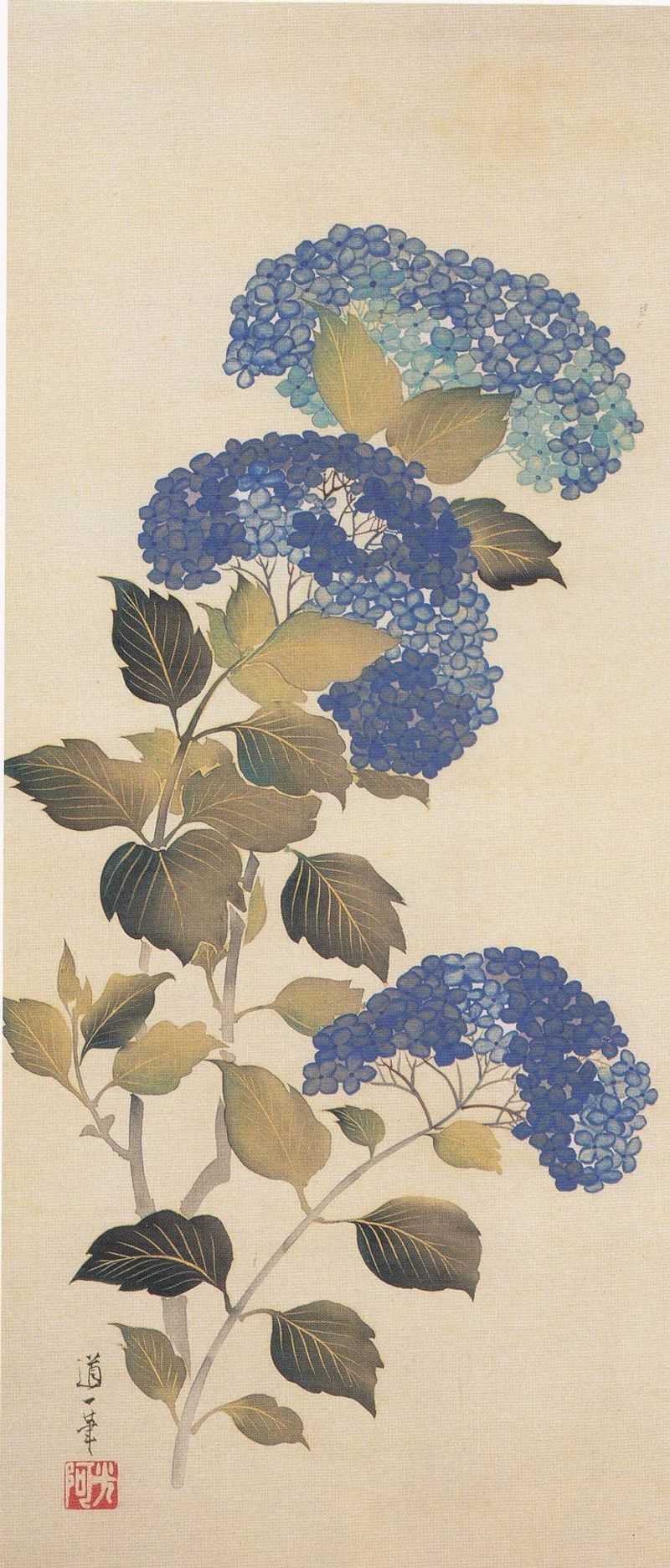 Hydrangeas in Art and Literature