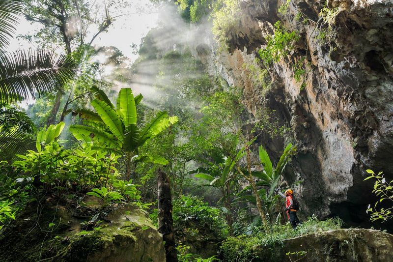 Son Doong's Hidden Jungle