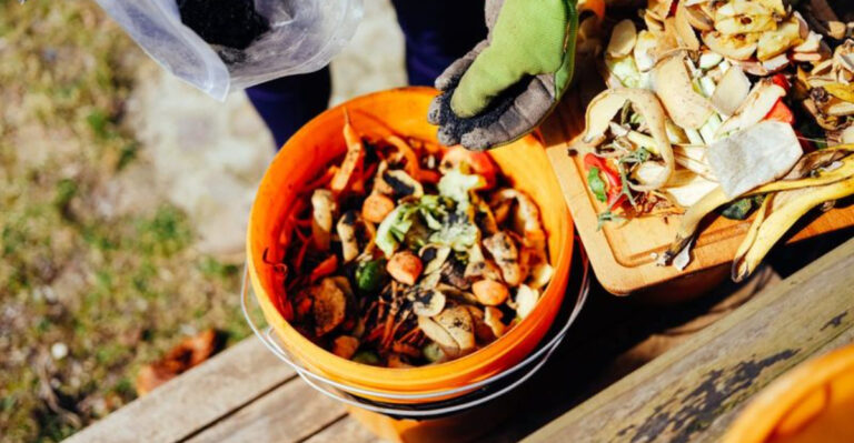 20 Plant Care Methods That Are Quietly Taking Over Gardens in 2025