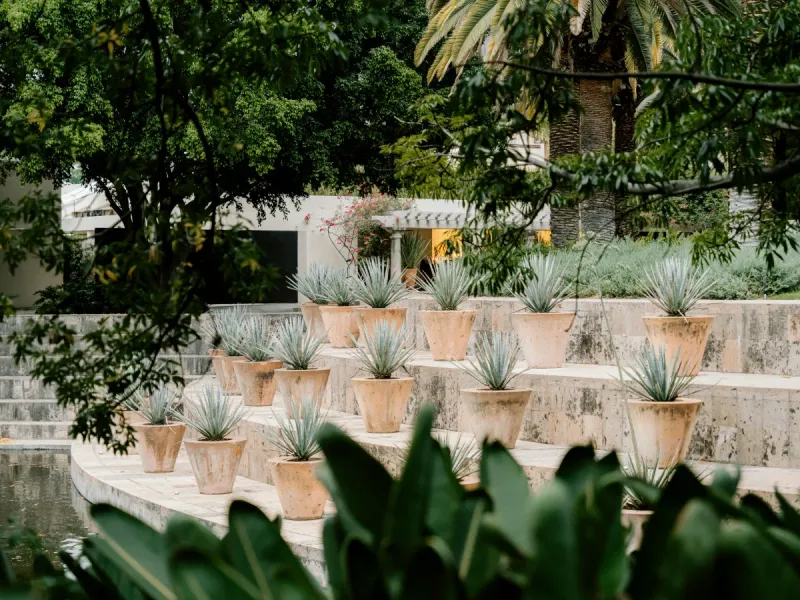 The Mexican Cultural Blend