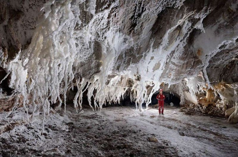 The Salt Cave Forest of Iran