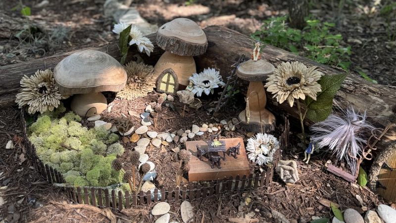 The Enchanted Oasis of Austin