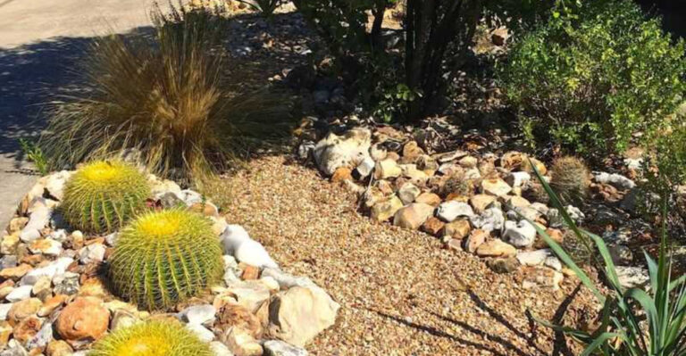 The Wildest Backyard Gardens in Texas Where Nature Has Taken Over in Stunning Ways