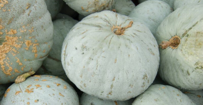 These 13 Trap Crops Save Your Vegetables From Pests (Gardeners Swear By #7)