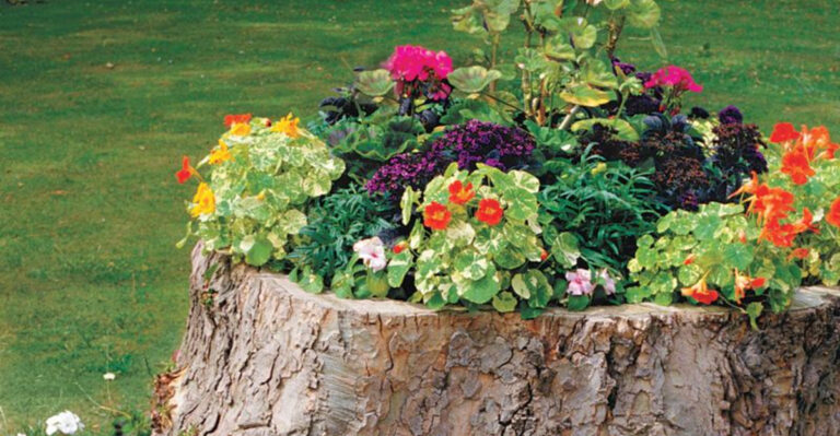 These 15 Plant Containers Share One Thing – They Turn Gardens Into Museums