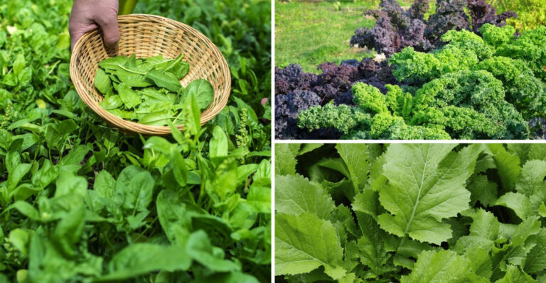 These 23 Fast Growing Veggies Are Ready in Just 30 Days