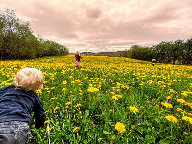 They’re Beautiful (If You Let Them Be!)