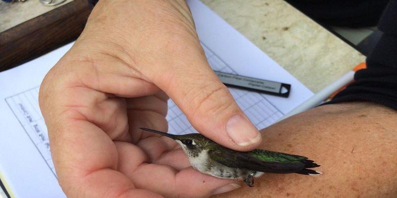 🧑‍🔬 Only Experts Can Do It