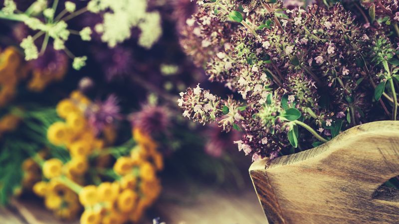 Thyme's Role in Mythology