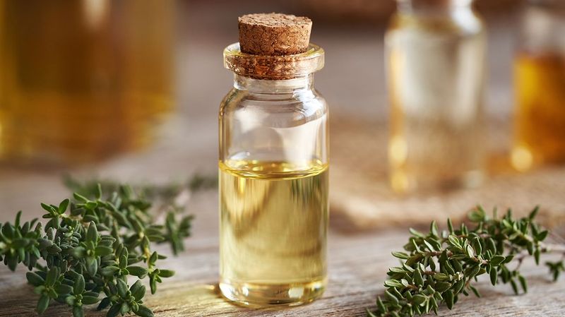 Thyme Essential Oil