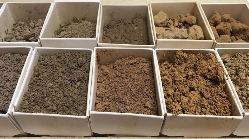 Consider Professional Soil Analysis