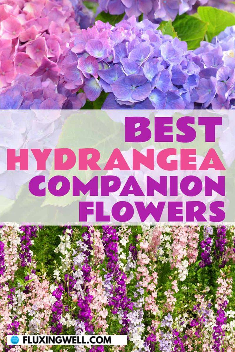 Tip 12: Companion Planting Benefits