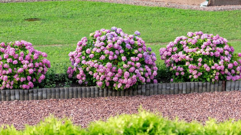 Tip 17: Avoiding Overcrowding