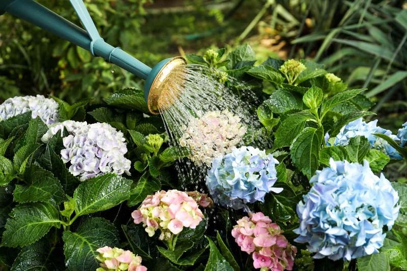 Tip 18: Seasonal Watering Adjustments
