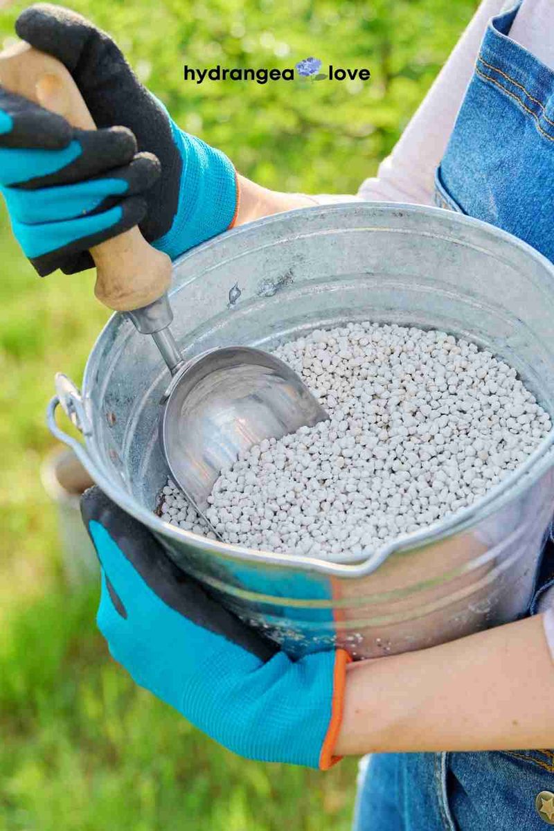 Tip 19: Mindful Fertilizer Use