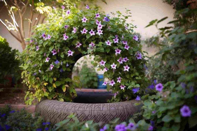 Tire Trellis for Climbing Plants