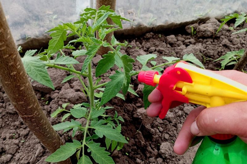 Foliar Feeding Methods