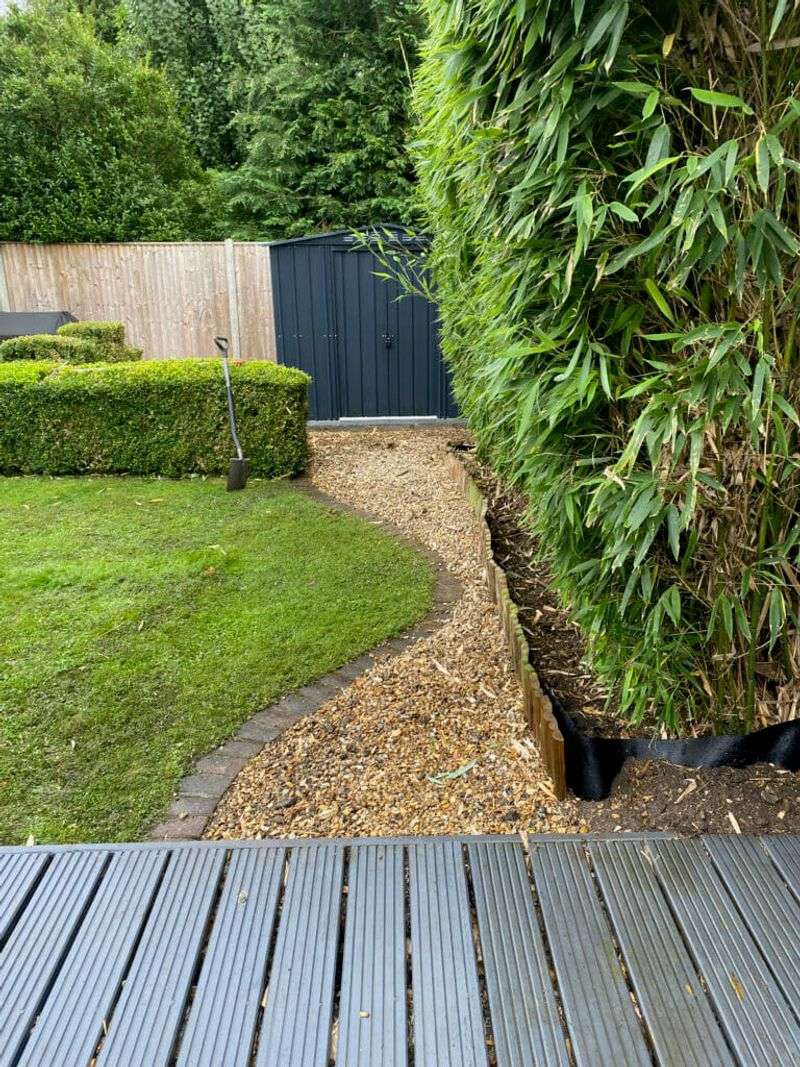 Bamboo Containing (The Escape Artist)