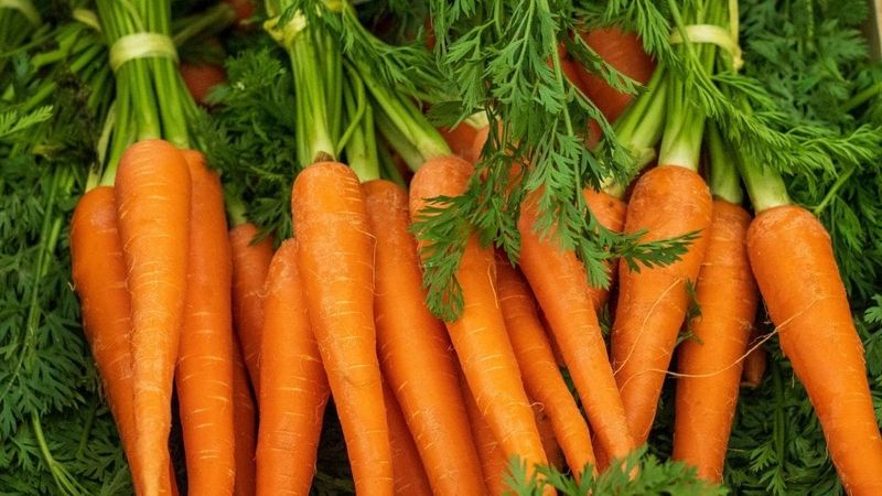 Carrots