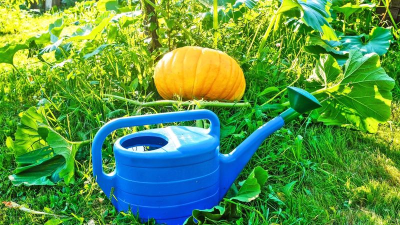 Water Like Clockwork