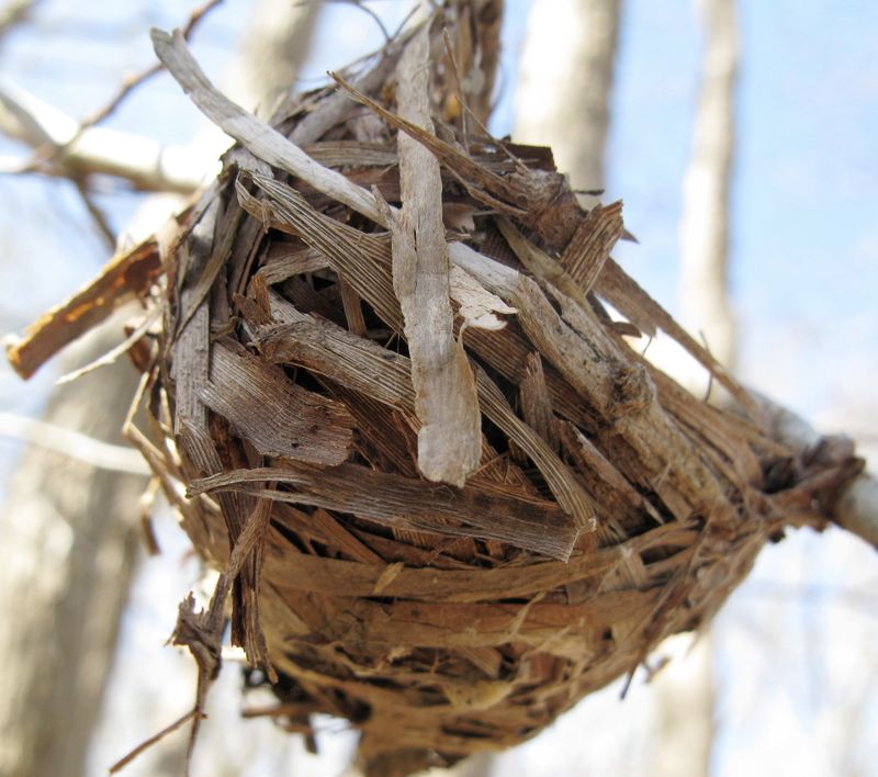 Nesting Materials Cache
